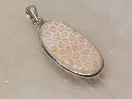 Fossiel koraal hanger in zilver