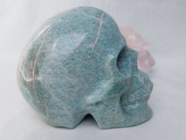 Amazoniet human skull