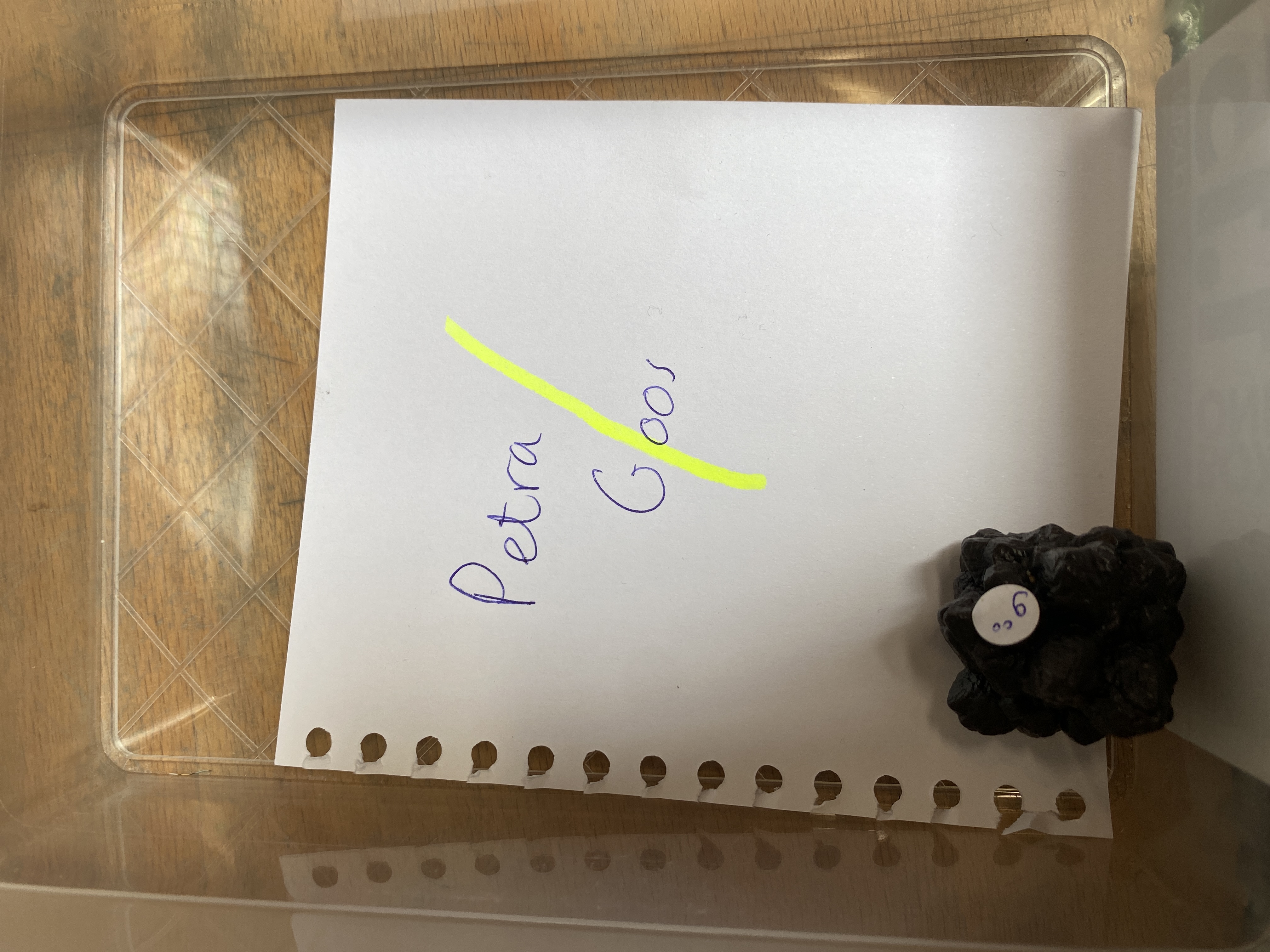 gekochte artikelen van Petra Goos