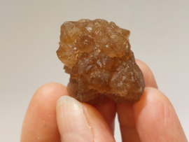 Citrien uit Marokko cluster