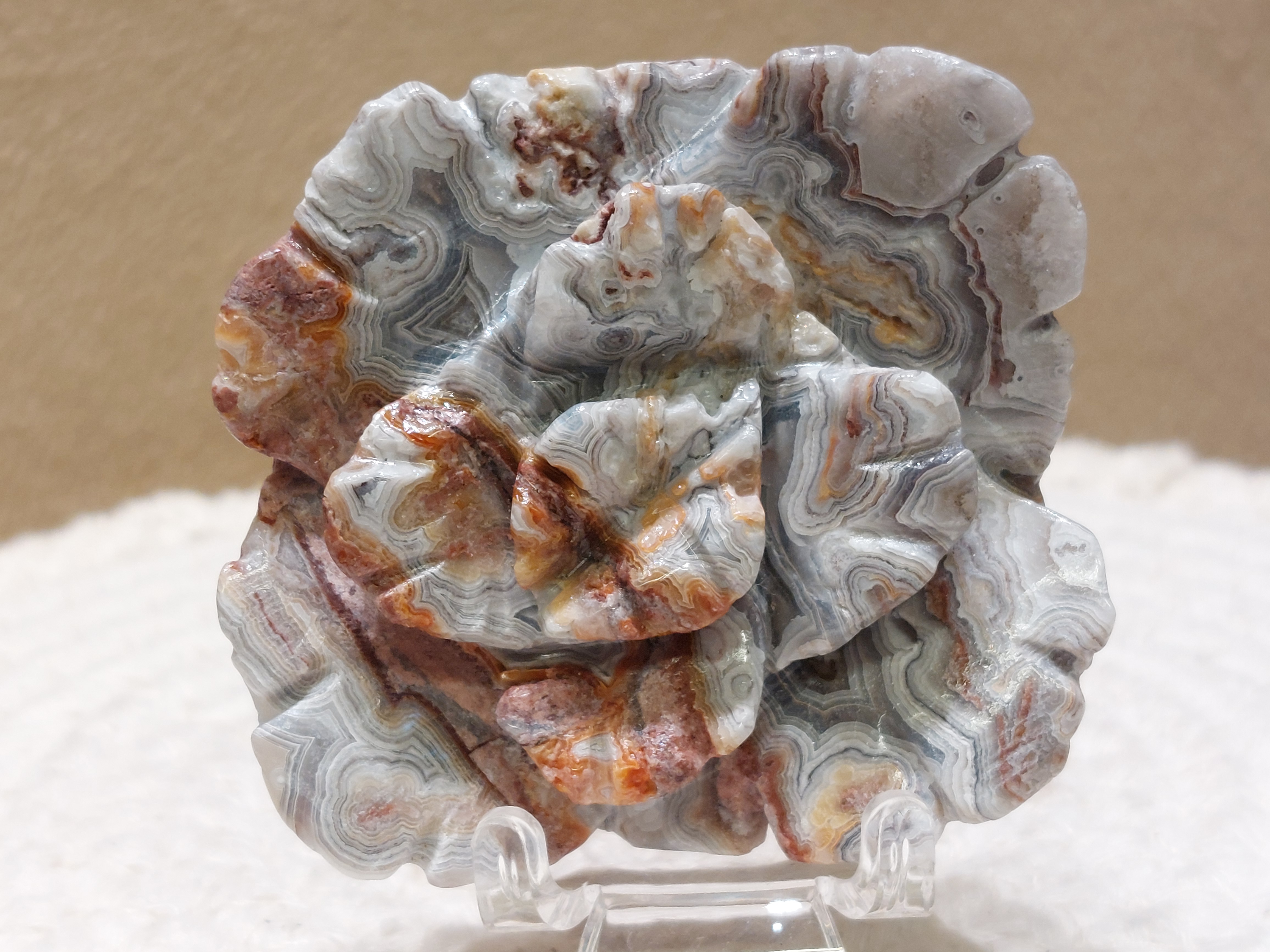 Crazy lace agaat roos/bloem