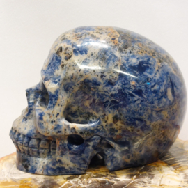 Sodaliet human skull