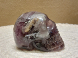 Fluoriet human skull