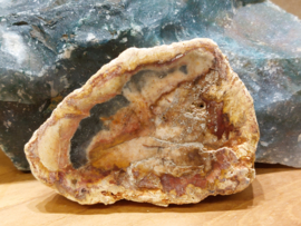 Versteend hout schijf