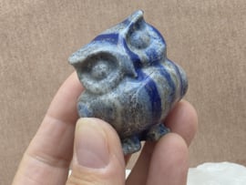 Lapis lazuli uil