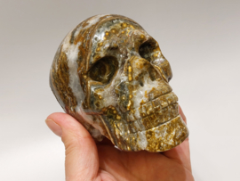 Oceaan jaspis human skull