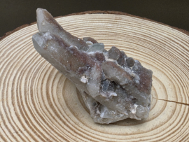 Feeënkwarts of heksenvinger uit Afrika