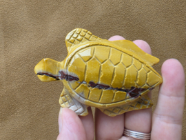 Mookaiet schildpad