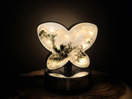 Mosagaat lamp vlindervorm