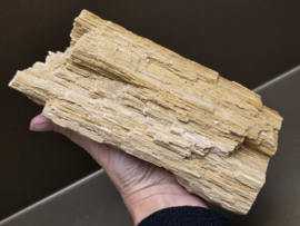 Versteend hout uit Indonesië