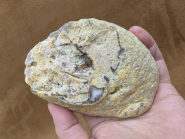 Agaat geode