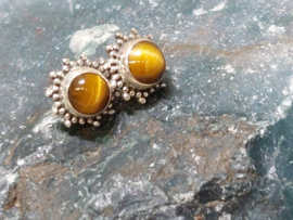 Tijgeroog oorbellen in zilver