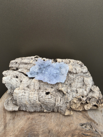 Amethist roos uit Iraí - Brazilië