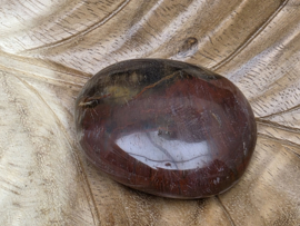 Versteend hout handsteen