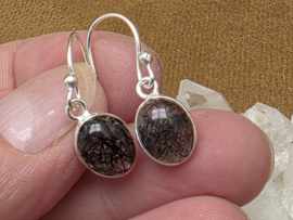 Toermalijn in kwarts oorbellen in zilver