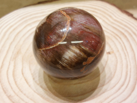 Versteend hout bol