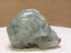 Prehniet human skull