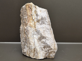 Versteend hout uit Indonesië