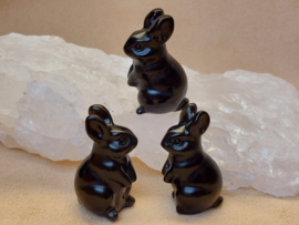 Obsidiaan konijn