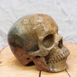 Oceaan jaspis human skull