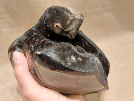 Wilde septarie sculptuur