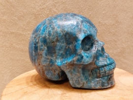 Apatiet human skull