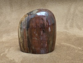 Versteend hout sculptuur