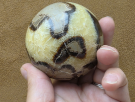 Septarie bol