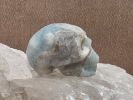 Blue carribean calciet human skull