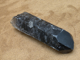 Rookkwarts punt lemurisch uit Brazilië