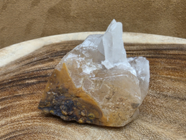 Mariposa calciet uit Mexico