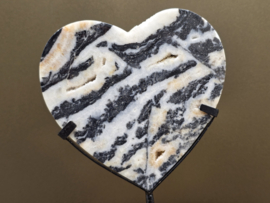 Zebra calciet hart uit Indonesië op standaard