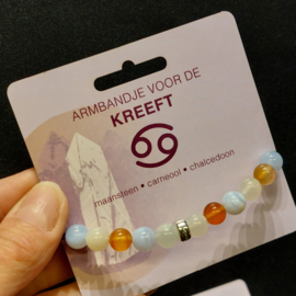 Kreeft armband combinatie