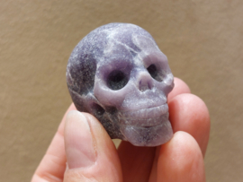 Lepidoliet human skull