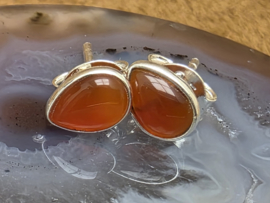 Carneool oorbellen in zilver