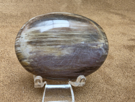 Versteend hout handsteen