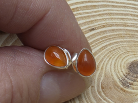 Carneool oorbellen in zilver