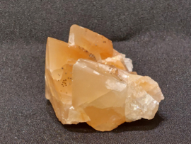 Mariposa calciet uit Mexico