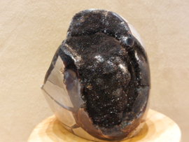 Wilde septarie sculptuur
