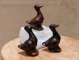 Mahonie obsidiaan gans