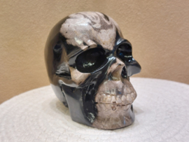 Versteend hout human skull