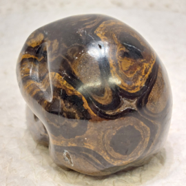 Stromatoliet human skull
