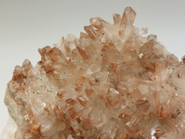 Maria magdalena cluster