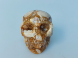 Chocolade calciet/aragoniet human skull