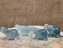 Fluoriet olifant