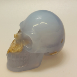 Blauwe chalcedoon human skull