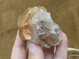 Mariposa calciet uit Mexico