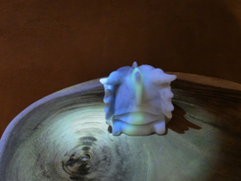 Blue carribean calciet draak