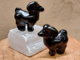 Zwarte obsidiaan ram