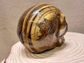 Tijgeroog human skull